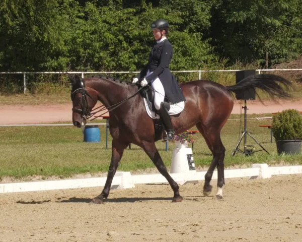 Reitturnier Heiligenwald 2022