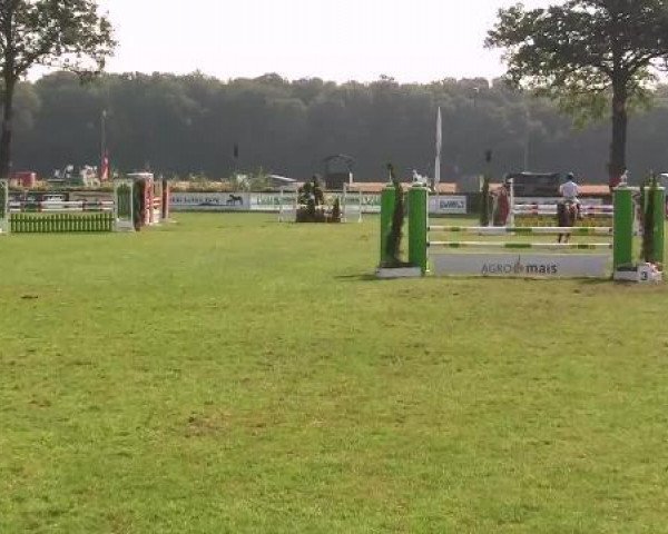 jumper Number fourty (German Riding Pony, 2007, from Night-Power)