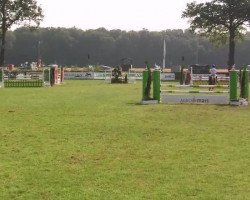 jumper Number fourty (German Riding Pony, 2007, from Night-Power)