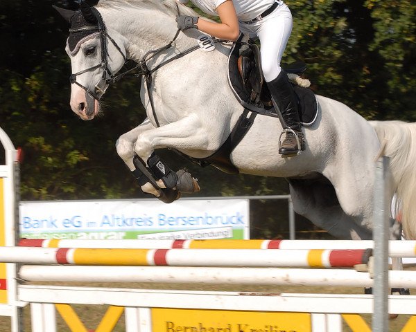 jumper Abendstern 110 (Oldenburg, 2001, from Alabaster)