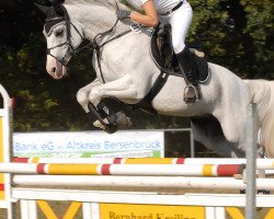 jumper Abendstern 110 (Oldenburg, 2001, from Alabaster)