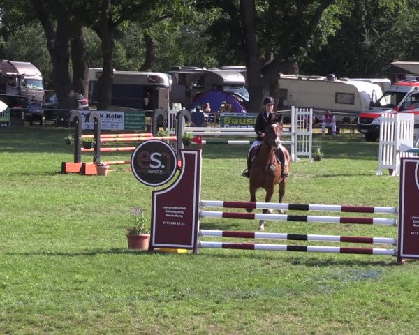 Reitturnier Ihleburg 2022