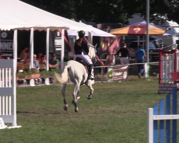 Reitturnier Ihleburg 2022