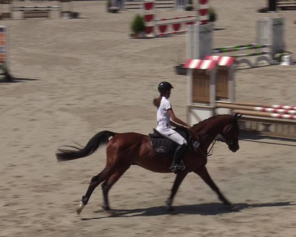 Reitturnier Leichlingen-Witzhelden - Sieferhof 2022