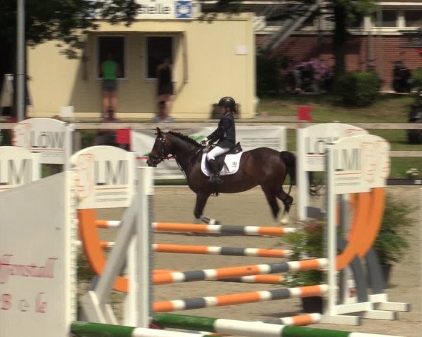 Reitturnier Barlo-Bocholt 2022
