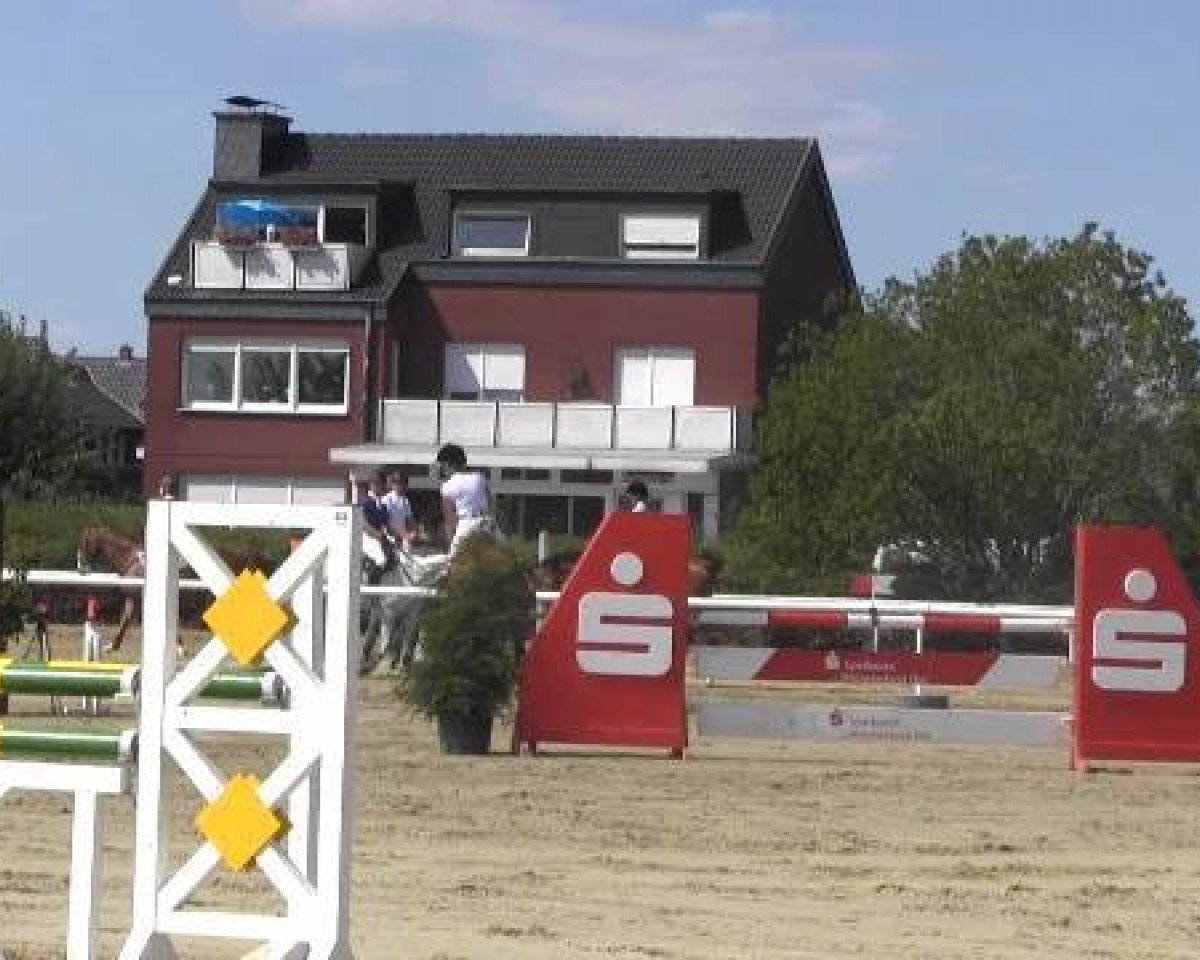 jumper Aeon Flux (Irish Sport Horse, 2005, from Lux Z)