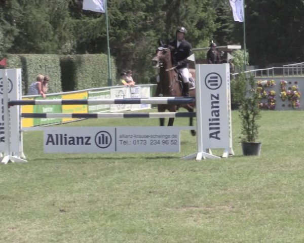 Reitturnier Dersekow 2022