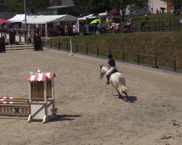 Reitturnier Leichlingen-Witzhelden - Sieferhof 2022