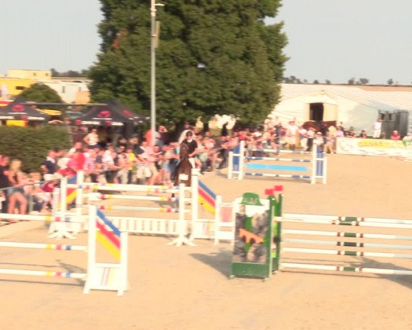 Springreitturnier Hohburg 2021