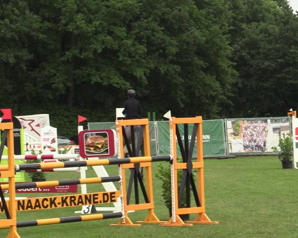 Reitturnier Wohlesbostel 2022
