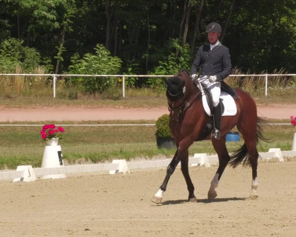 Reitturnier Heiligenwald 2022