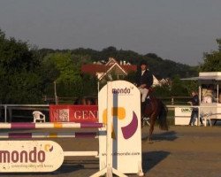 dressage horse Wisconti 14 (Hanoverian, 2004, from Weltmeyer)