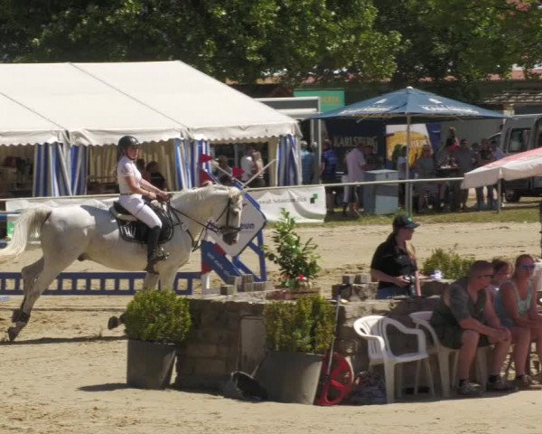 Reitturnier Heiligenwald 2022