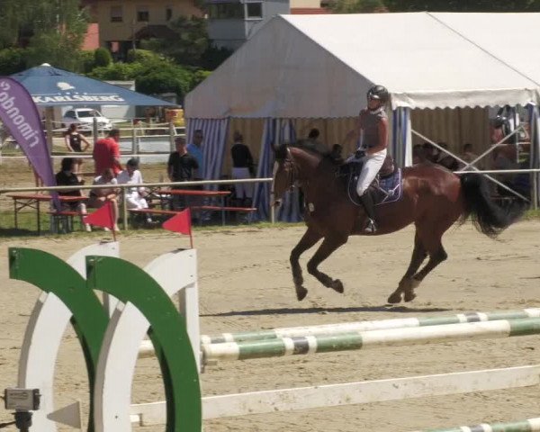 Reitturnier Heiligenwald 2022