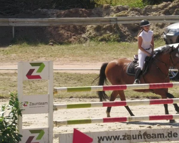 Reitturnier Heiligenwald 2022