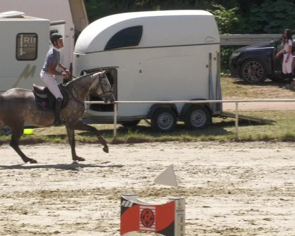 Reitturnier Heiligenwald 2022