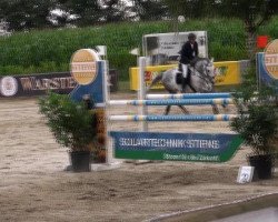 jumper Captain Jack 16 (Holsteiner, 2003, from Clearway)