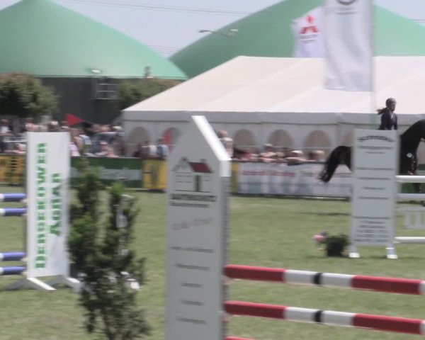 Reitturnier Dersekow 2022