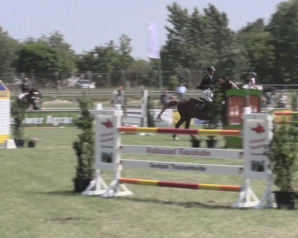Reitturnier Dersekow 2022