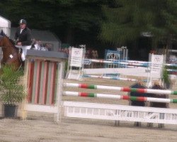 jumper Vulmiro (Westphalian, 2006, from Vulkano FRH)