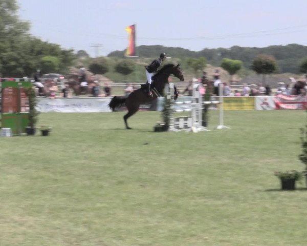 Reitturnier Dersekow 2022