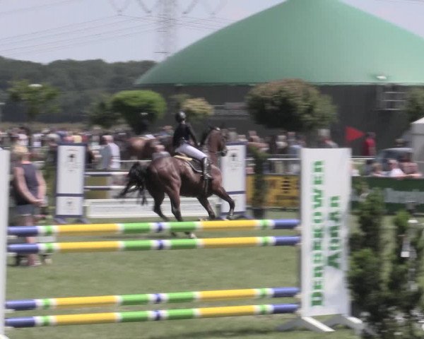 Reitturnier Dersekow 2022