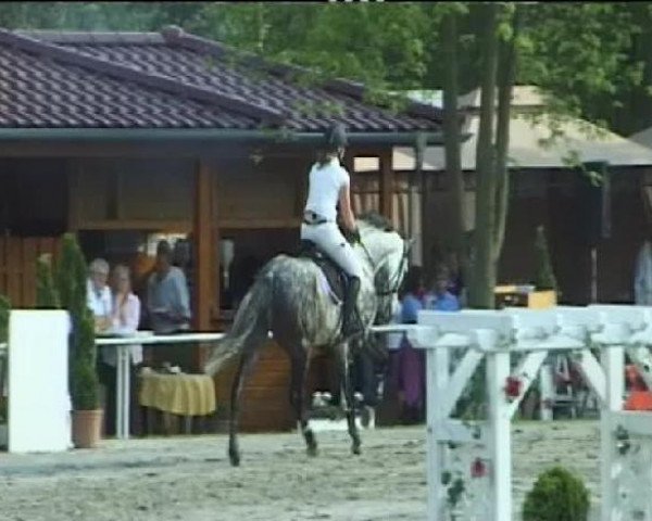 jumper Cassiano S (Holsteiner, 2006, from Cassini II)