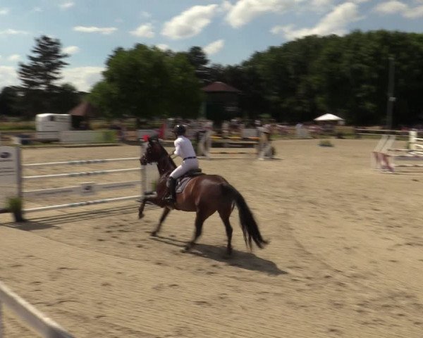 Reitturnier Barlo-Bocholt 2022