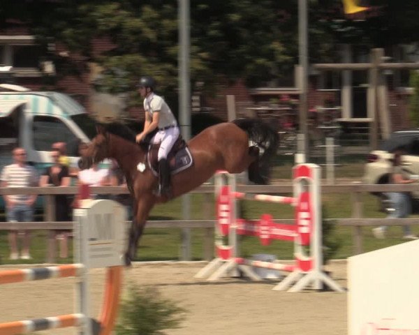 Reitturnier Barlo-Bocholt 2022
