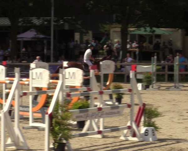 Reitturnier Barlo-Bocholt 2022