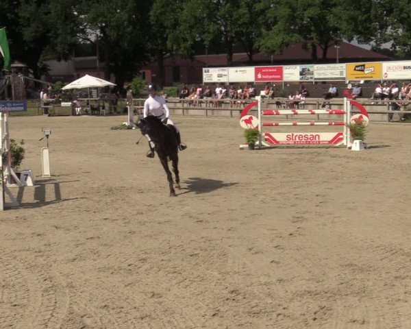 Reitturnier Barlo-Bocholt 2022