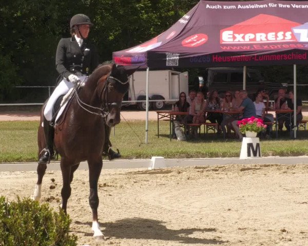 Reitturnier Heiligenwald 2022