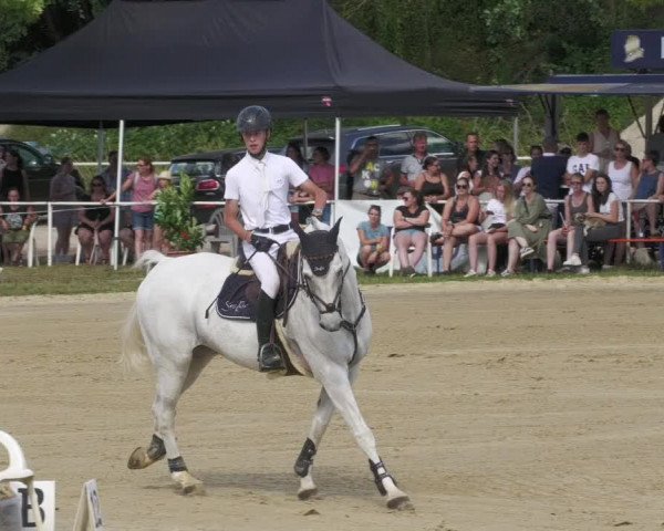 Reitturnier Heiligenwald 2022