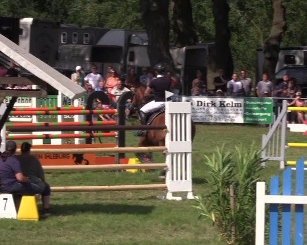 Reitturnier Ihleburg 2022