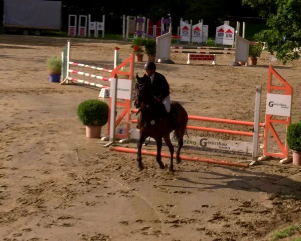 Reitturnier Viersen-Dülken 2022