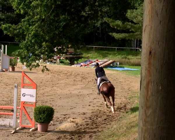 Reitturnier Viersen-Dülken 2022