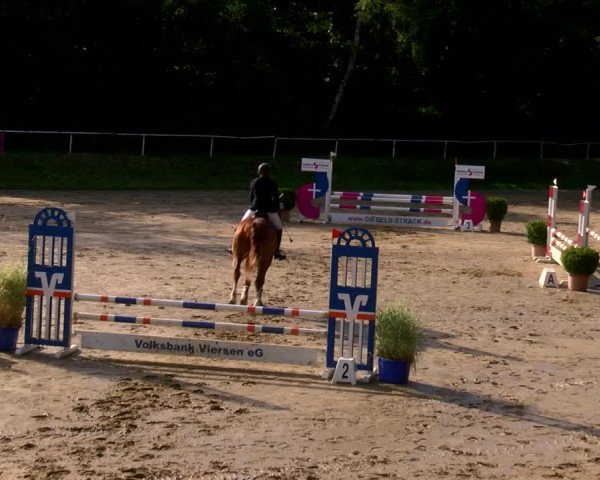 Reitturnier Viersen-Dülken 2022