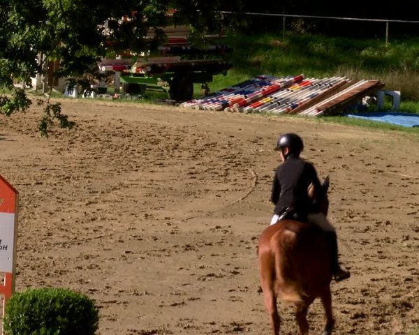 Reitturnier Viersen-Dülken 2022