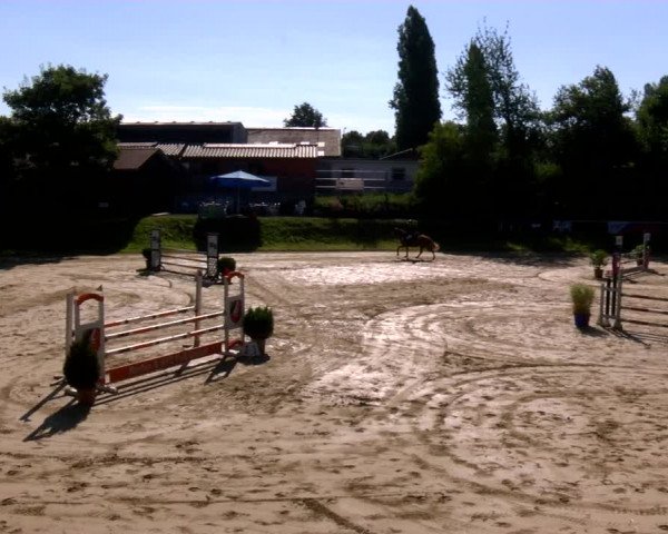 Reitturnier Viersen-Dülken 2022