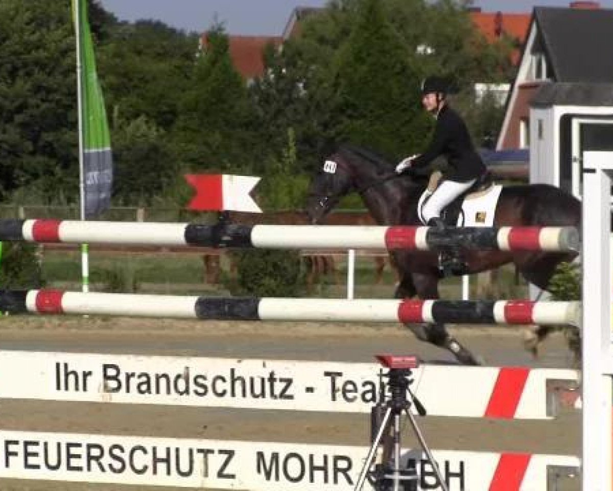 dressage horse Flash Rouge 5 (Westphalian, 2007, from Floresco NRW)