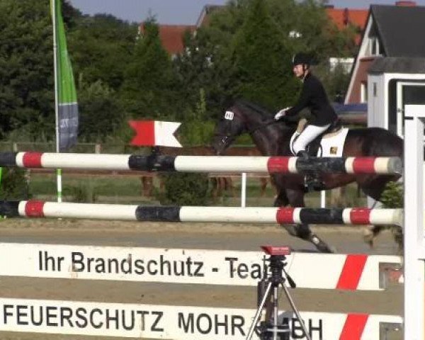 dressage horse Flash Rouge 5 (Westphalian, 2007, from Floresco NRW)