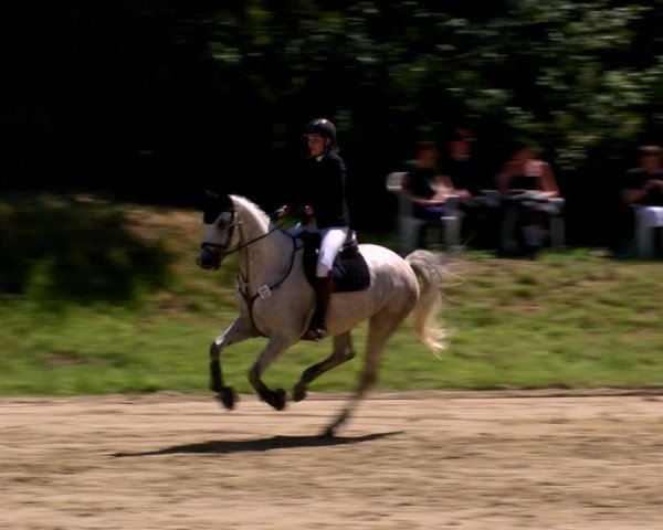 Reitturnier Viersen-Dülken 2022