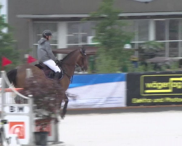 Reitturnier Gossau 2022