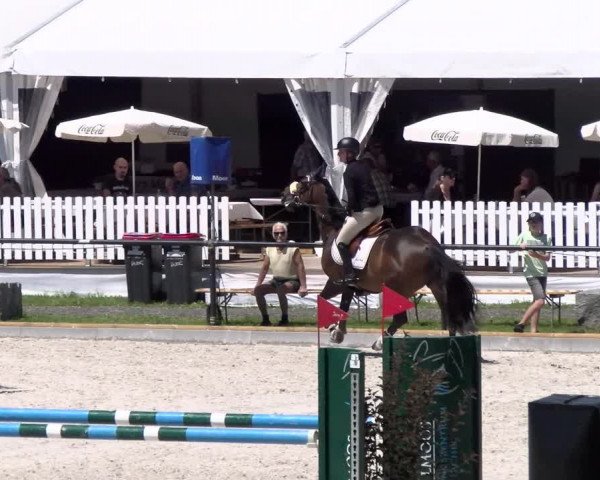 Reitturnier Gossau 2022