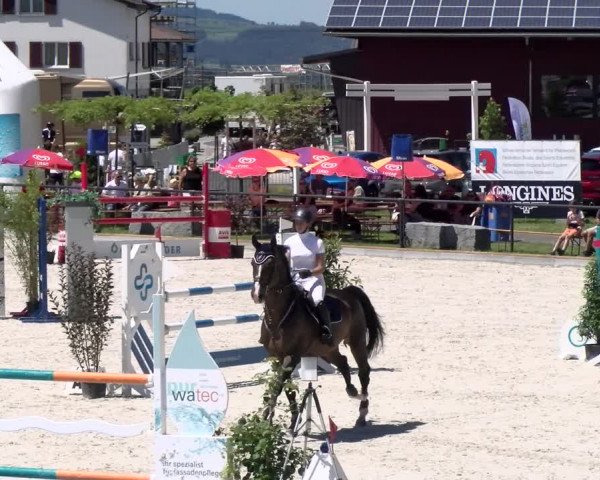 Reitturnier Gossau 2022