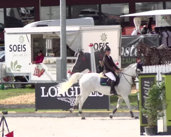 Reitturnier Gossau 2022
