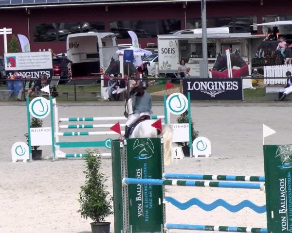 Reitturnier Gossau 2022