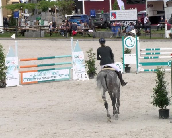 Reitturnier Gossau 2022