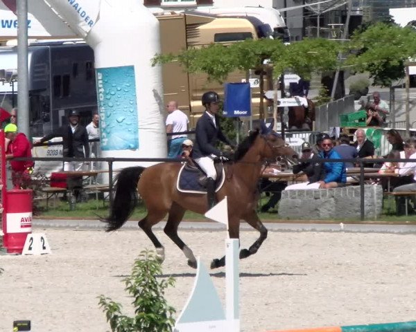 Reitturnier Gossau 2022