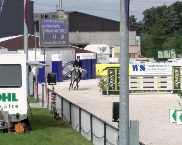 Reitturnier Gossau 2022